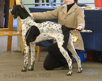 5th Open Dog